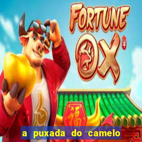 a puxada do camelo no jogo do bicho